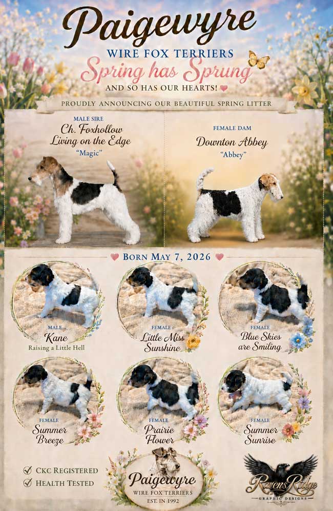 Paigewyre Kennels Saskatchewan